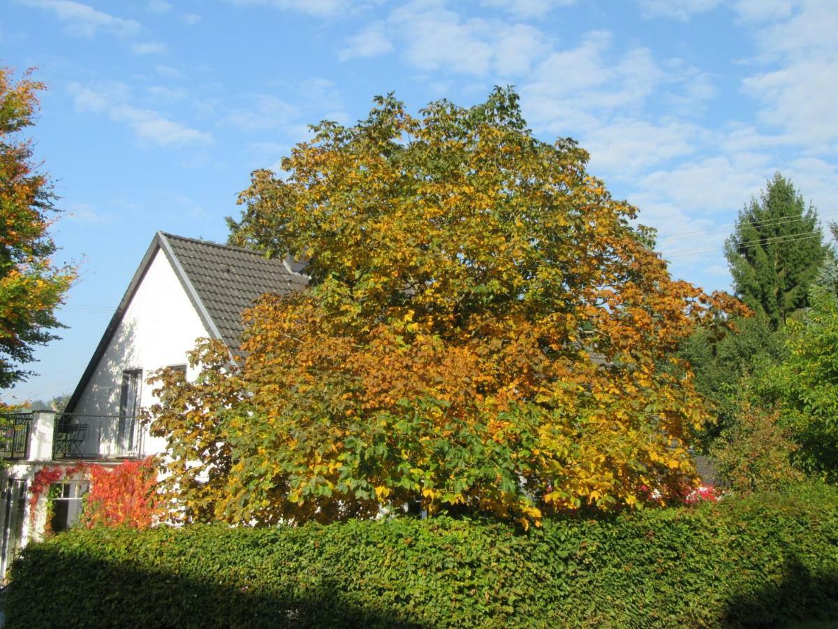 Eifel Gästewohnung Apartment Blankenheim (North Rhine-Westphalia)